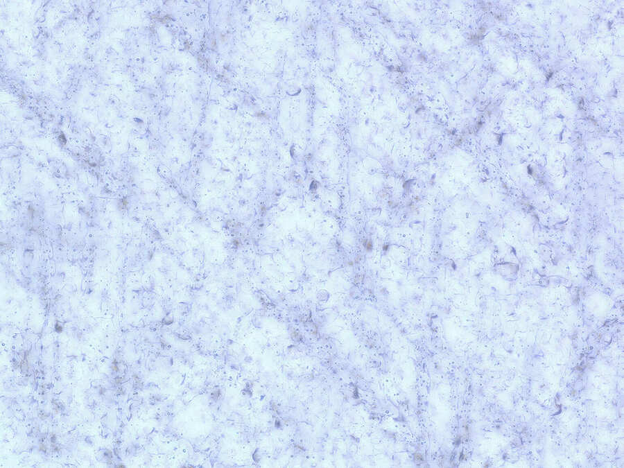 3-Pico-interno-bianco-300x-v2 Laser Marking on Glass: The LASIT Revolution